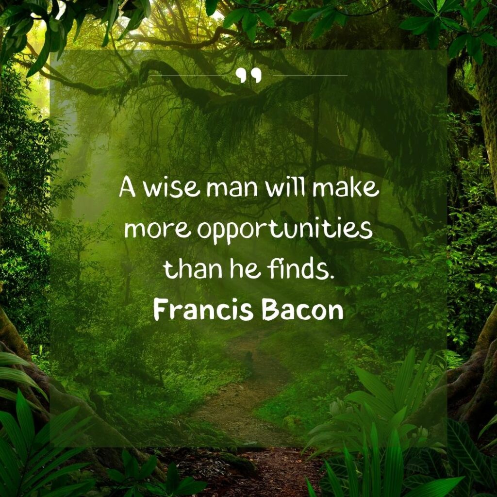 Embrace Change: Motivational Opportunity Quotes 84 everyday is a new opportunity quotes-14