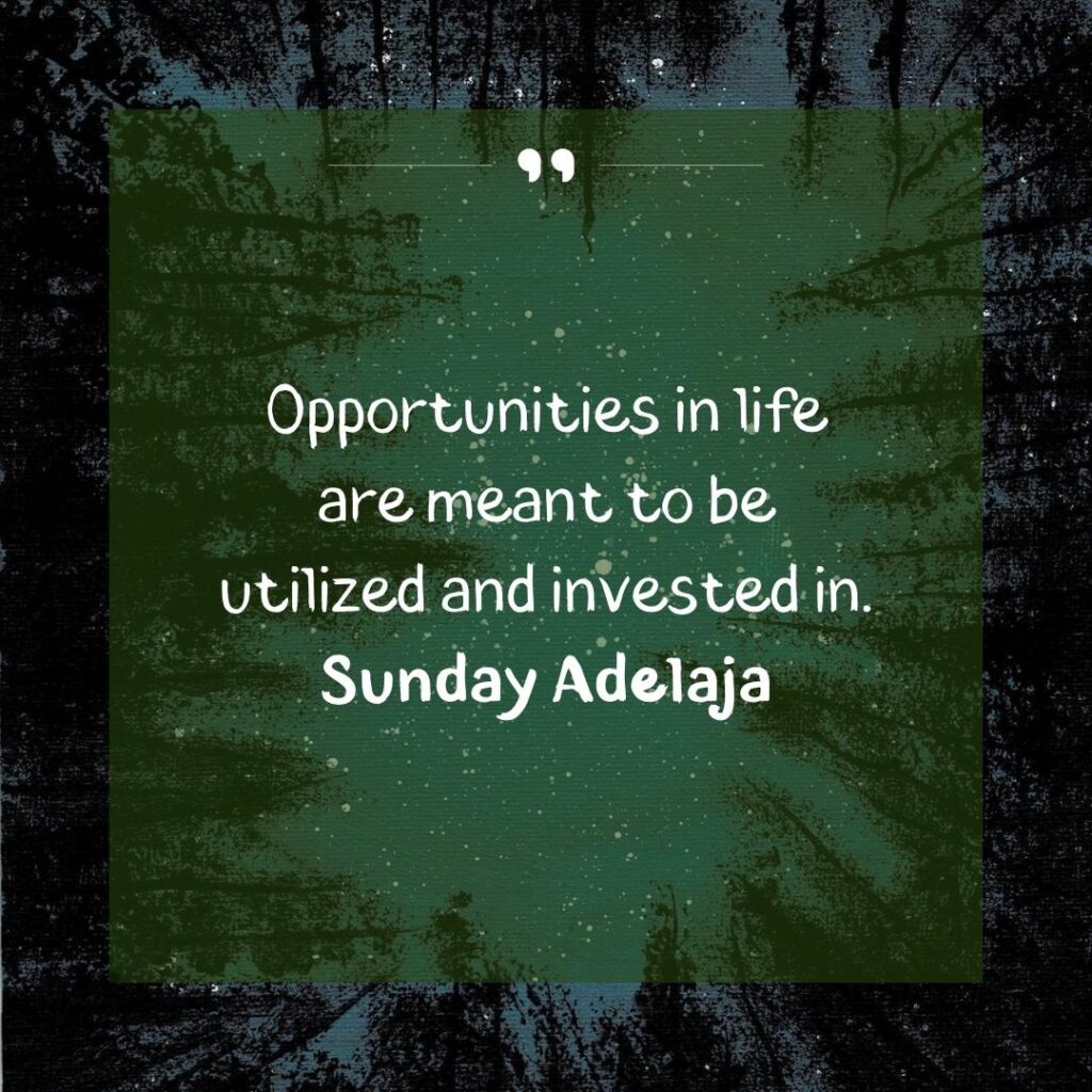 Embrace Change: Motivational Opportunity Quotes 60 seizing the opportunity quotes-38