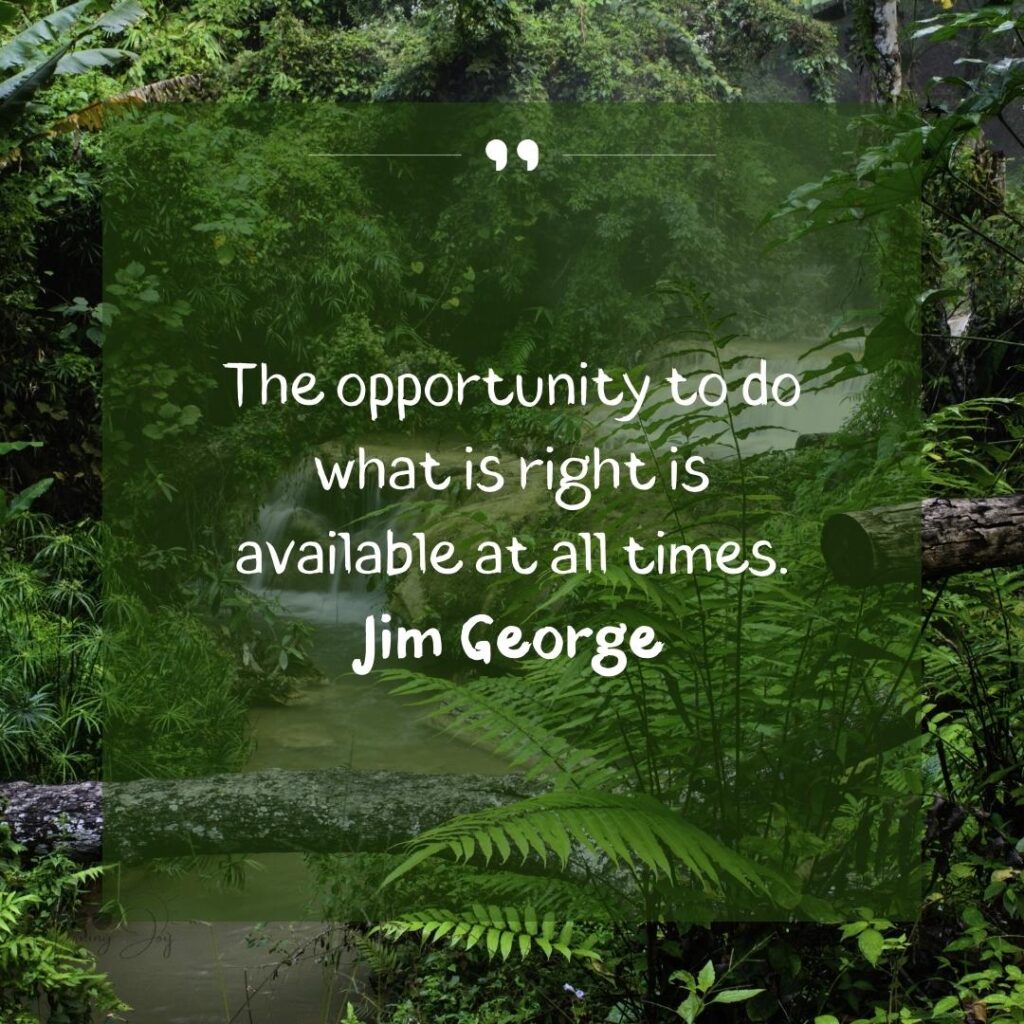 Embrace Change: Motivational Opportunity Quotes 54 new opportunity quotes and sayings-44