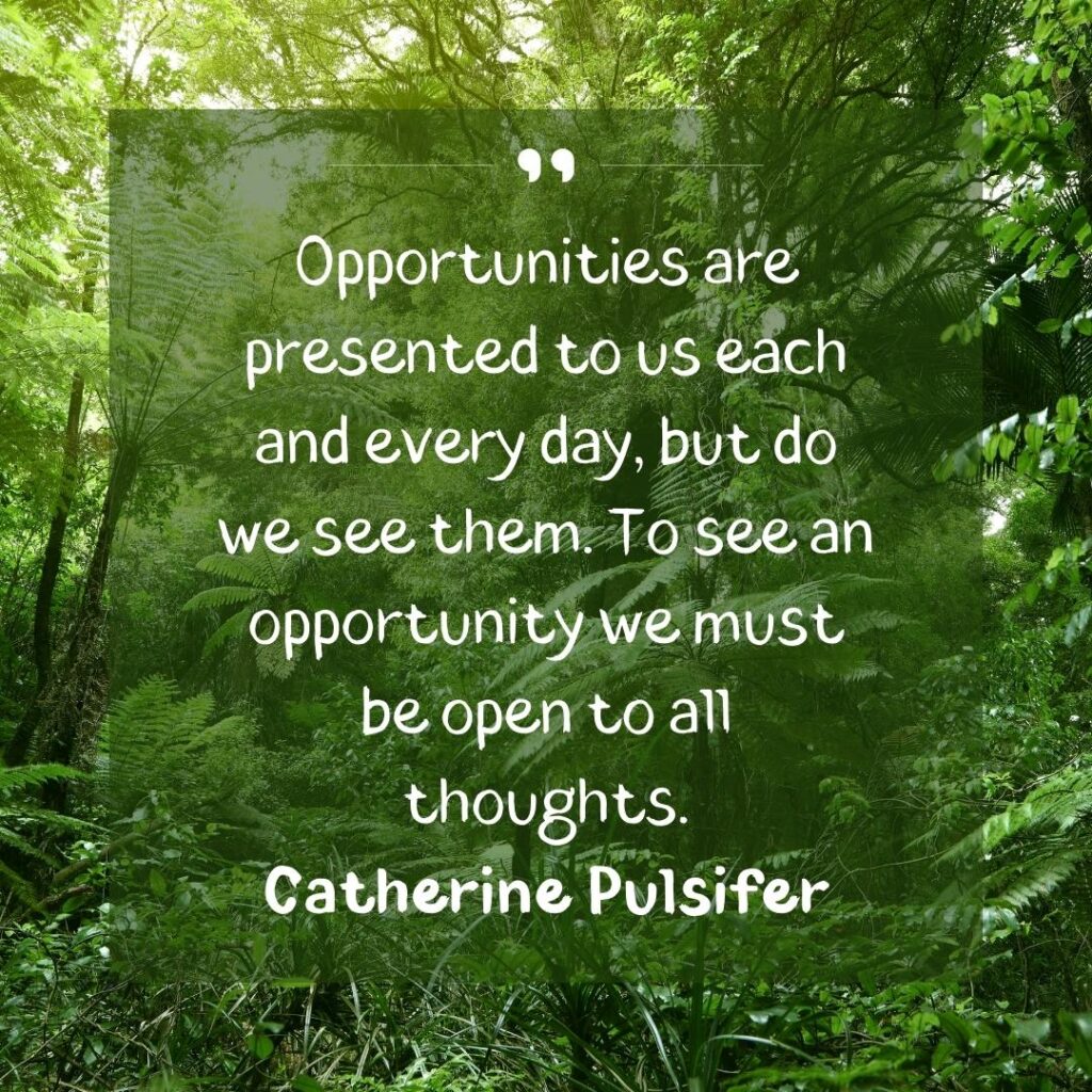 Embrace Change: Motivational Opportunity Quotes 53 new opportunity quotes and sayings-45