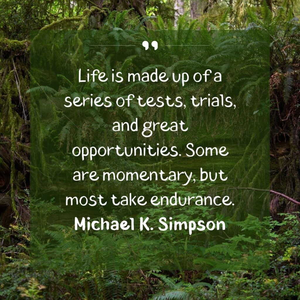 Embrace Change: Motivational Opportunity Quotes 49 new opportunity quotes and sayings-49
