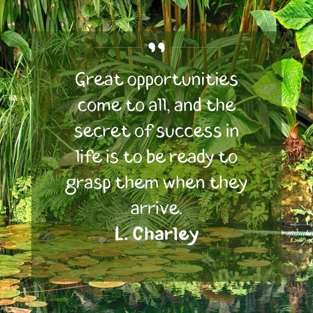 Embrace Change: Motivational Opportunity Quotes 46 new opportunity quotes and sayings-52