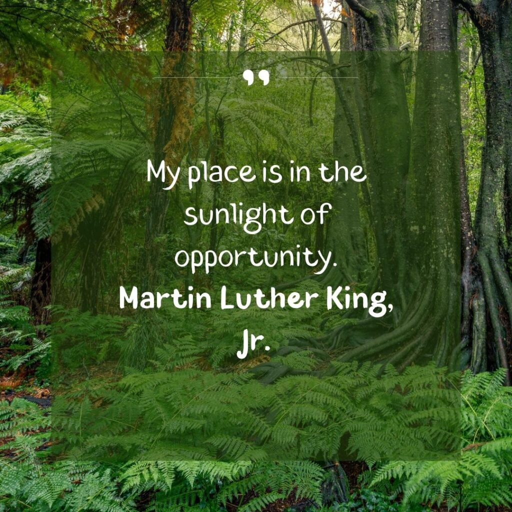 Embrace Change: Motivational Opportunity Quotes 43 new opportunity quotes and sayings-55