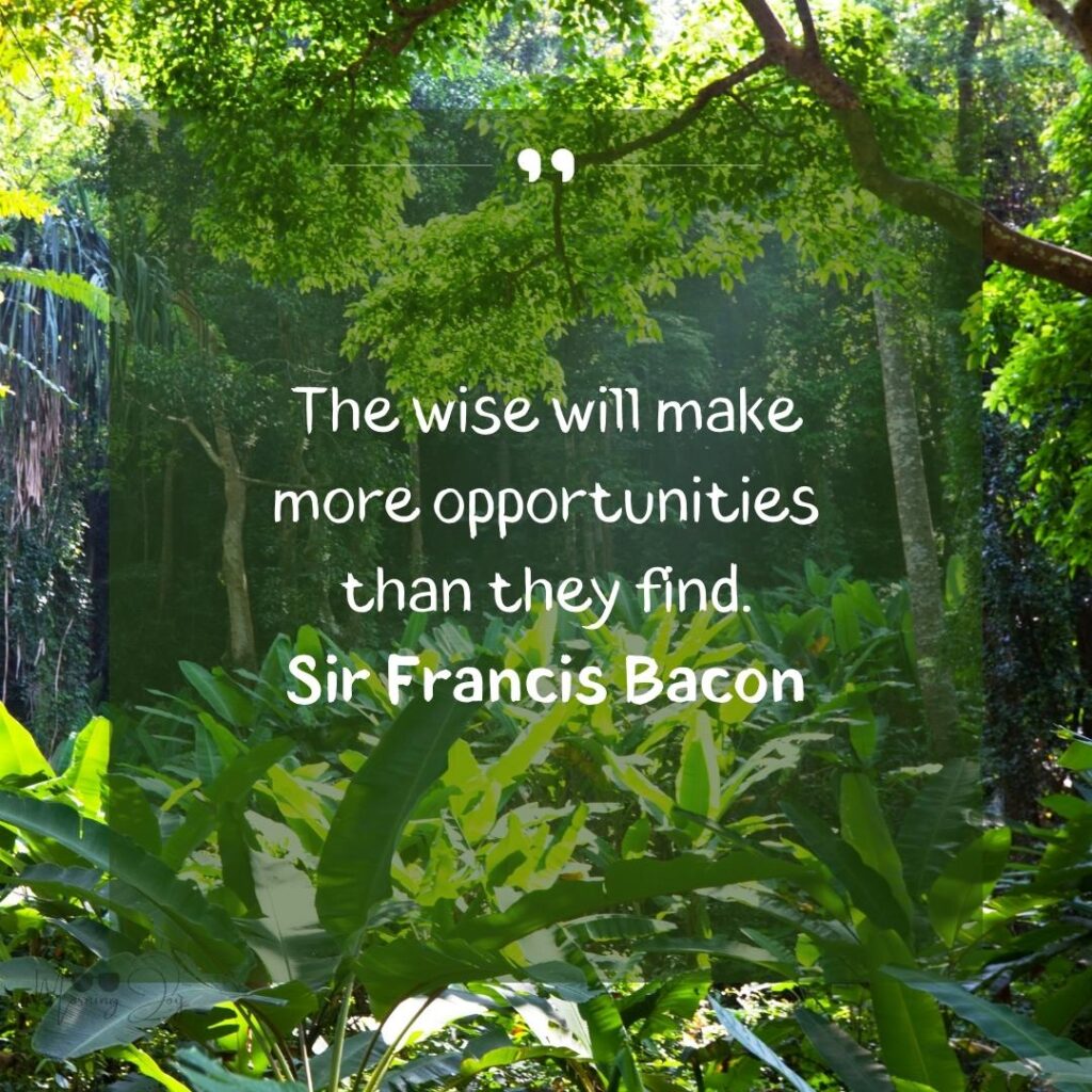 Embrace Change: Motivational Opportunity Quotes 29 when opportunity knocks open the door quotes-69