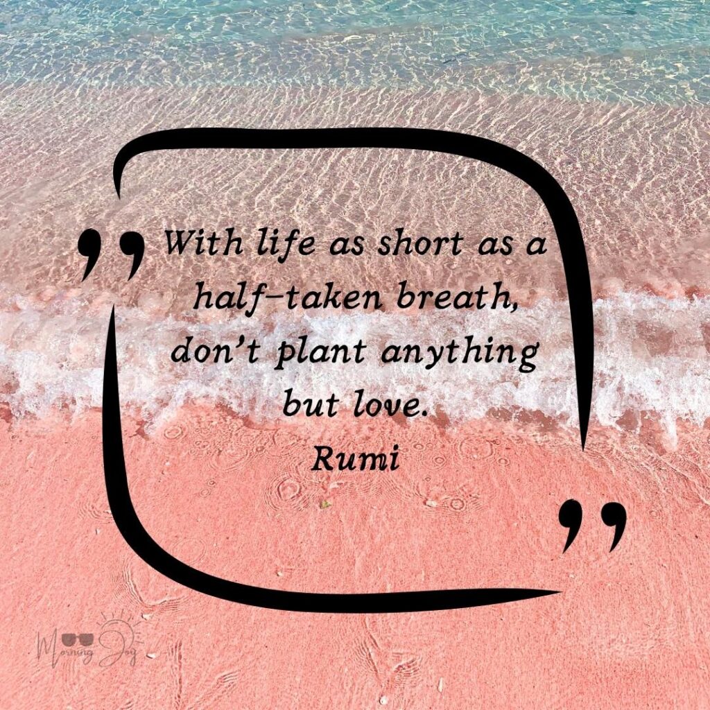 Inspiring Short Life Quotes in Mesmerizing Pictures 14 when you realize life is short quotes-72