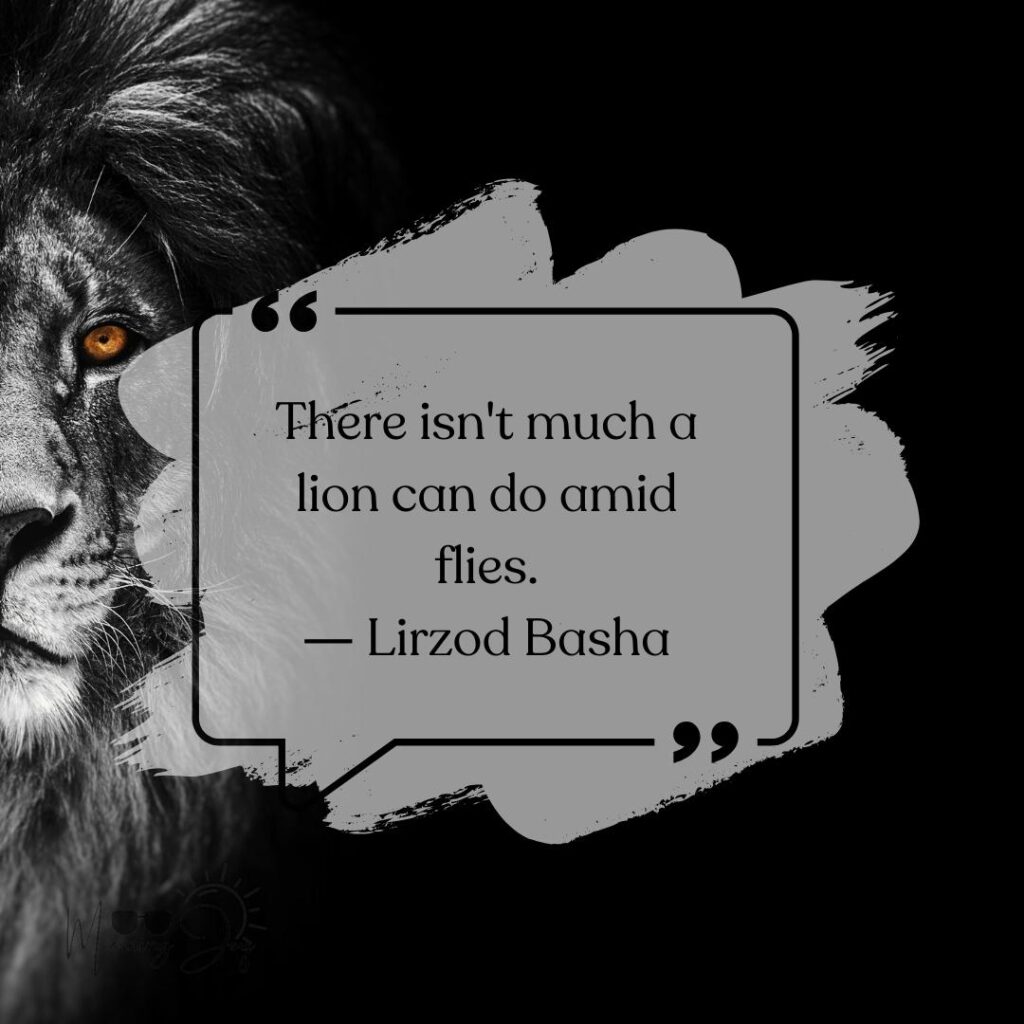 heart of a lion quotes-17