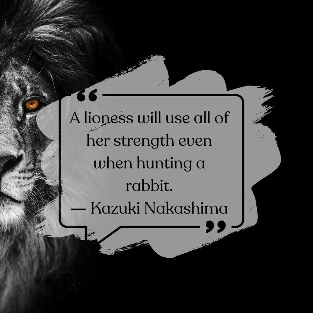 lion quotes images-30