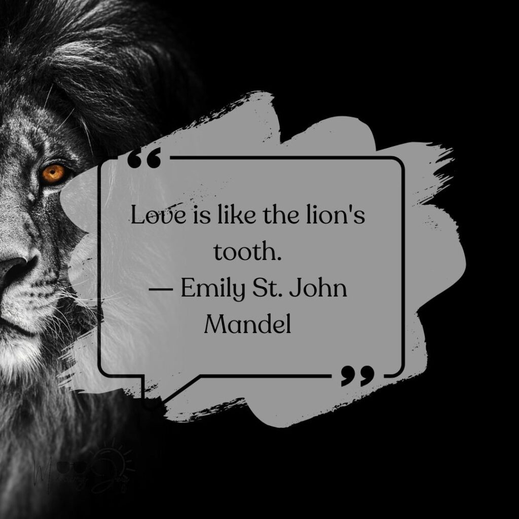lion quotes about strength-38