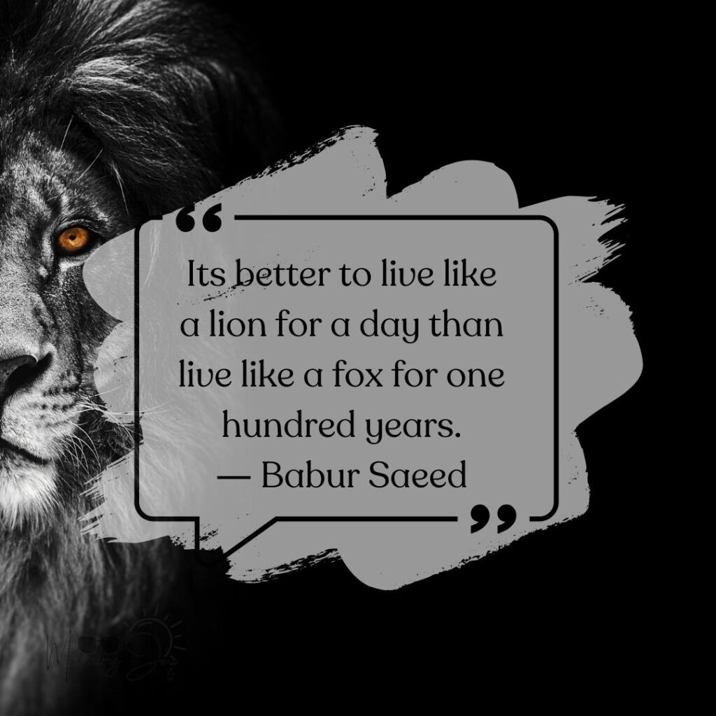 lion quotes about strength-40