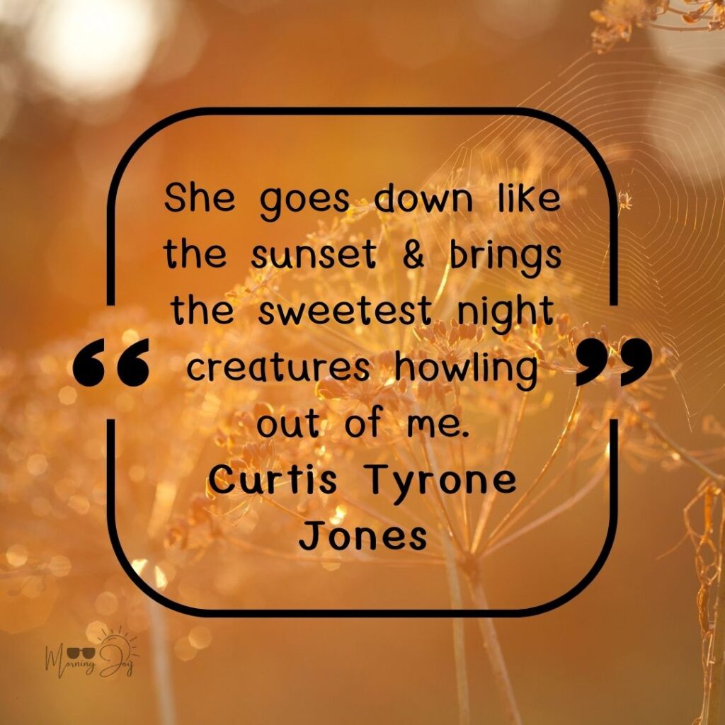 Inspiring Sunset Quotes to Paint Your Skyline 35 sunset quotes-76