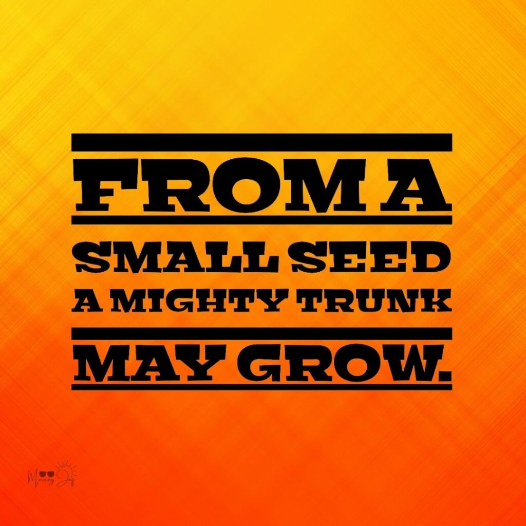 Find Your Strength: Best Inspirational Quotes 56 inspirational quotes about life and struggles-23