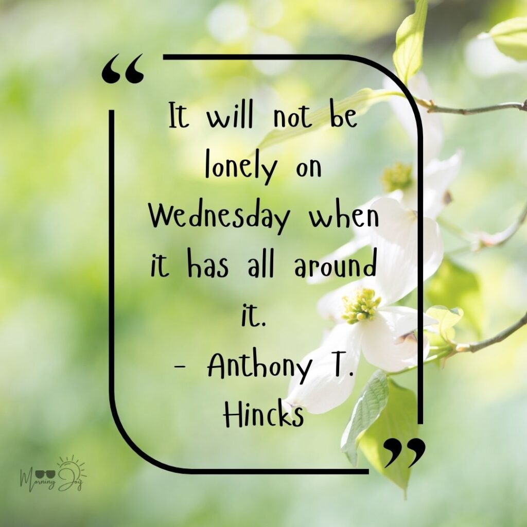 🌟 75+ Best Wednesday Quotes to Inspire, Motivate & Brighten Your Midweek 149 Wednesday morning motivational quotes-12
