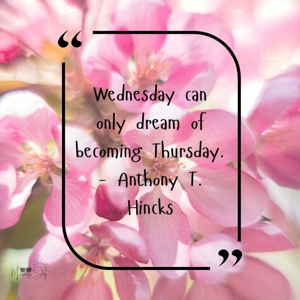 🌟 75+ Best Wednesday Quotes to Inspire, Motivate & Brighten Your Midweek 124 Wednesday Quotes-37