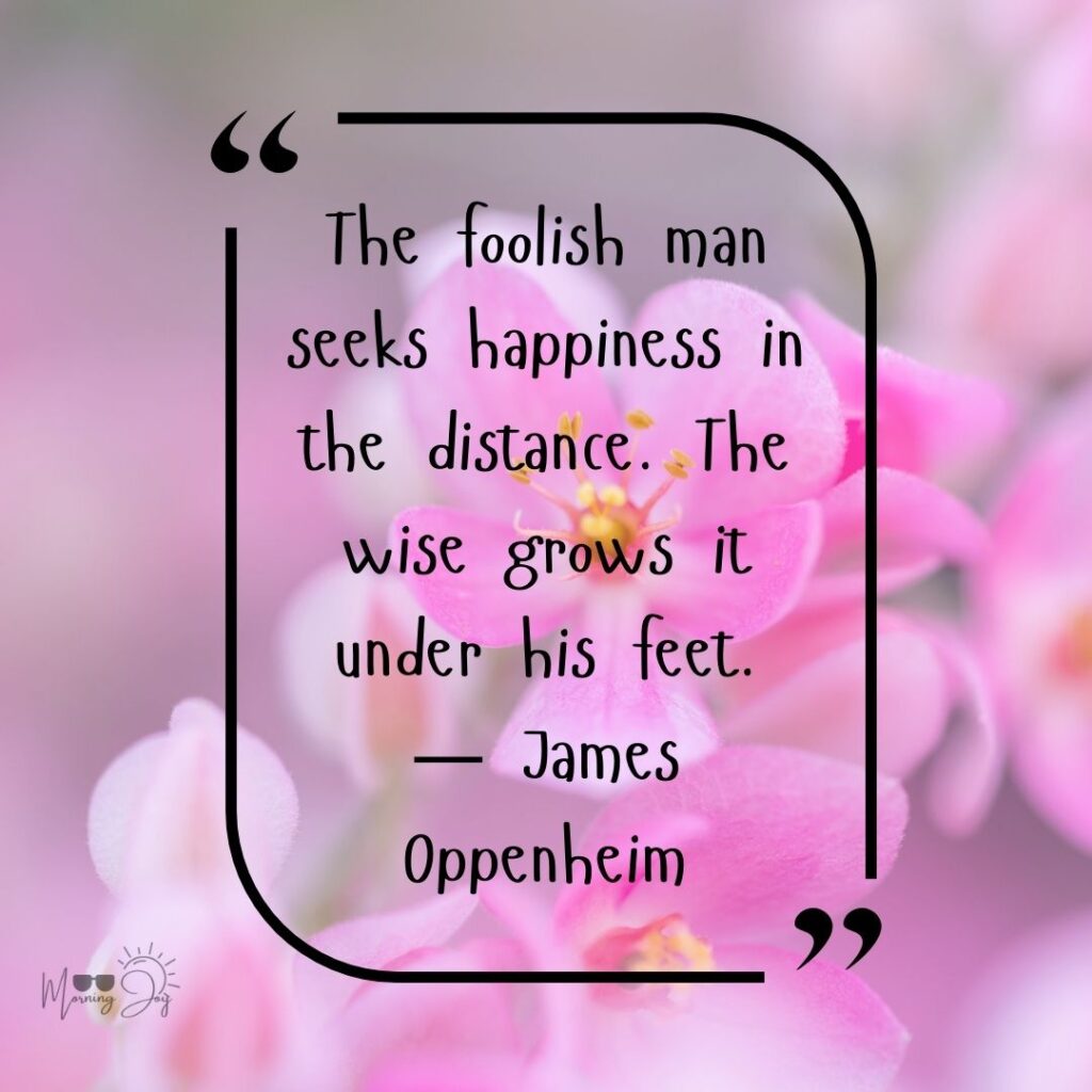 🌟 75+ Best Wednesday Quotes to Inspire, Motivate & Brighten Your Midweek 121 Wednesday Quotes-40