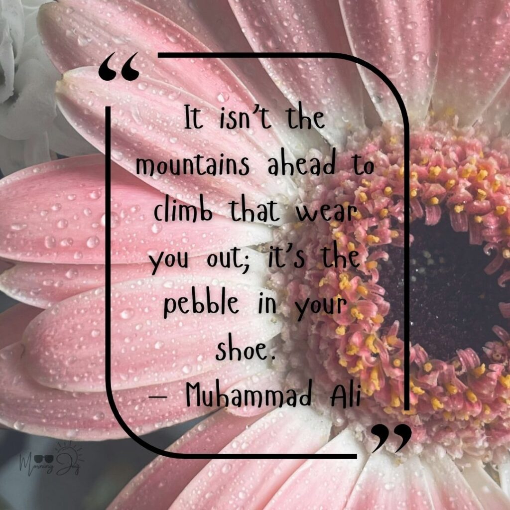 🌟 75+ Best Wednesday Quotes to Inspire, Motivate & Brighten Your Midweek 99 Wednesday Motivation-62