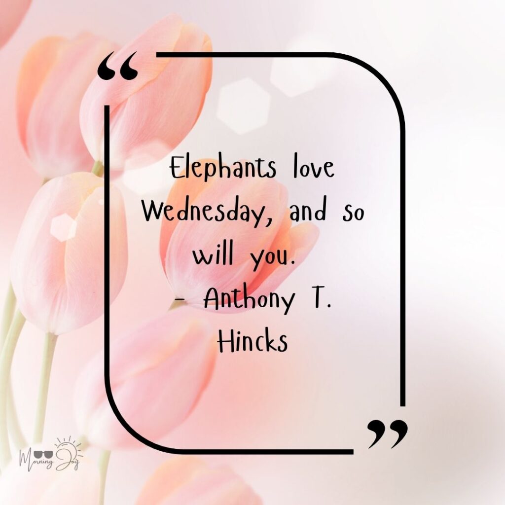 🌟 75+ Best Wednesday Quotes to Inspire, Motivate & Brighten Your Midweek 152 Wednesday blessings and prayers-9